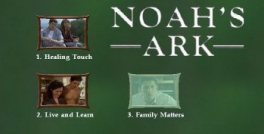 Noah's Ark on fan-produced DVD